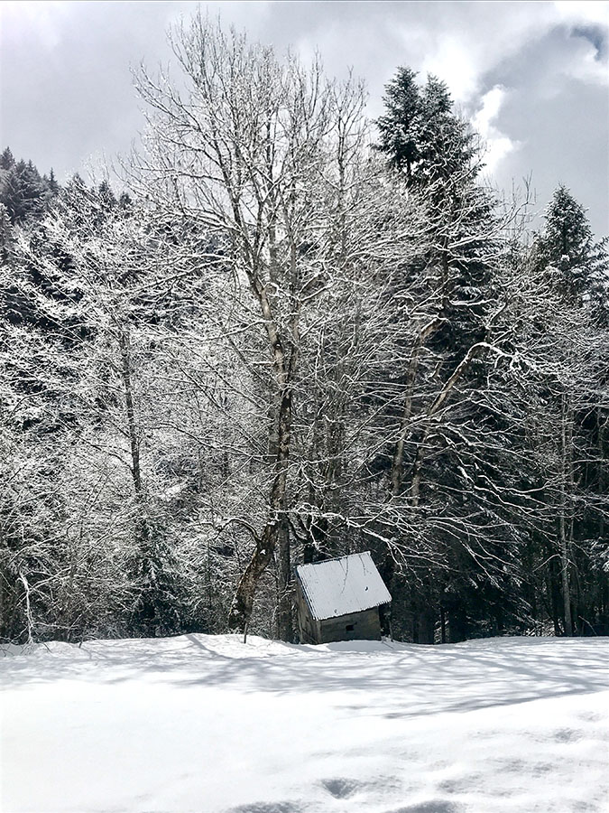 Cabane sauvage dans la neige dans les Bauges lors d'une expérience natureWacohe