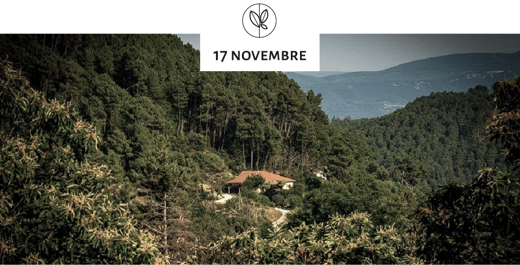 Rando keto naturo dans les cevennes