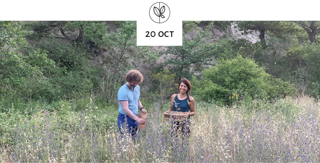 Rando botanique et healthy en Drôme Provençale