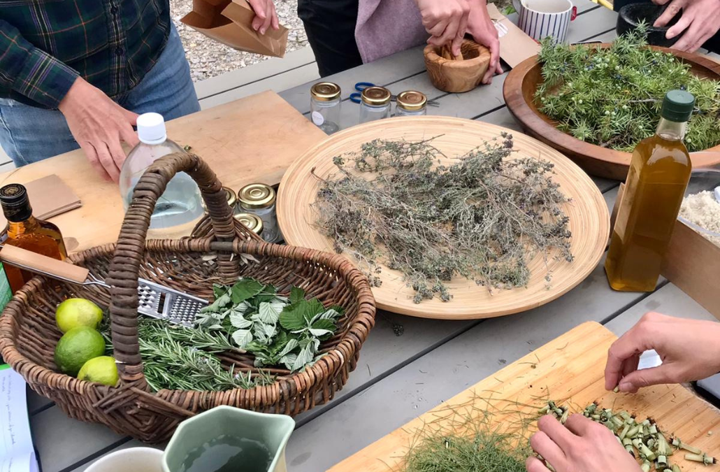 atelier plantes et cuisine sauvage 2025